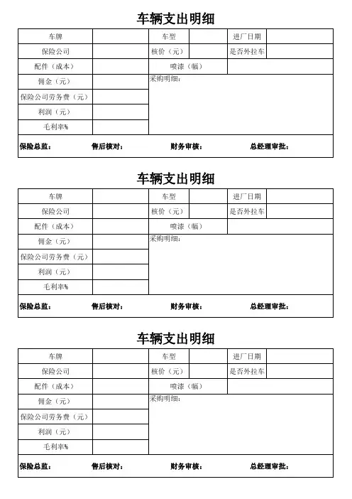 车辆支出费用明细表