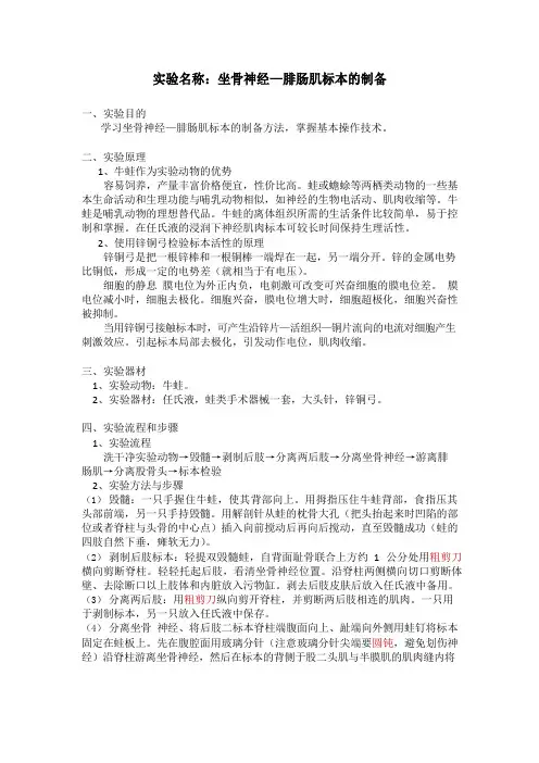 坐骨神经—腓肠肌标本的制备