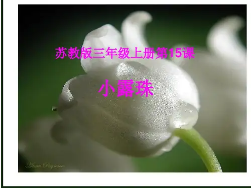 《小露珠》PPT课件