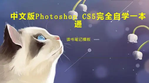 中文版Photoshop CS5完全自学一本通