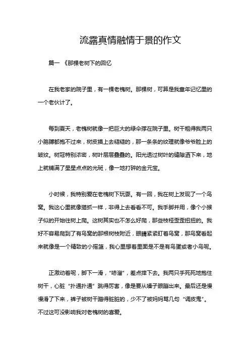 流露真情融情于景的作文