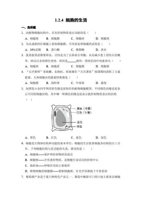 生物人教版(2024)版七年级上册1.2.4 细胞的生活 课时练 含答案03