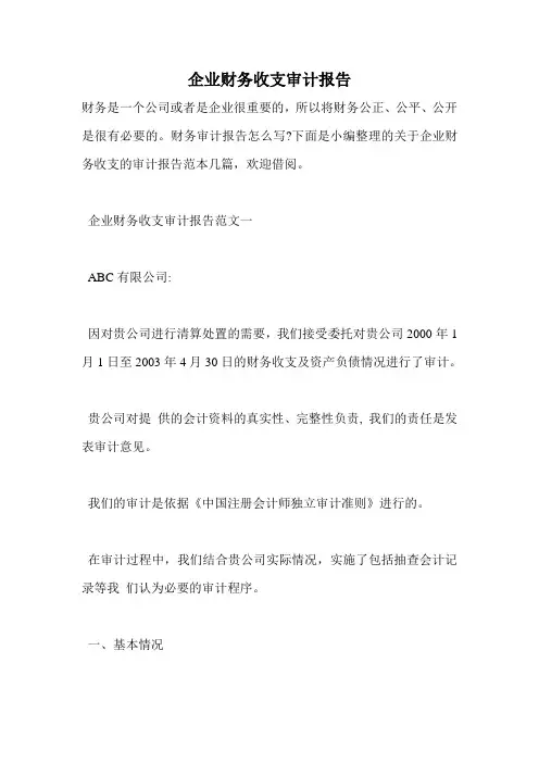 企业财务收支审计报告