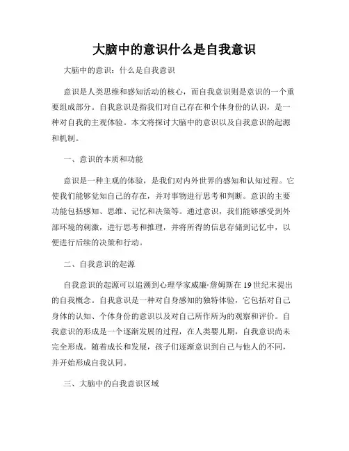 大脑中的意识什么是自我意识