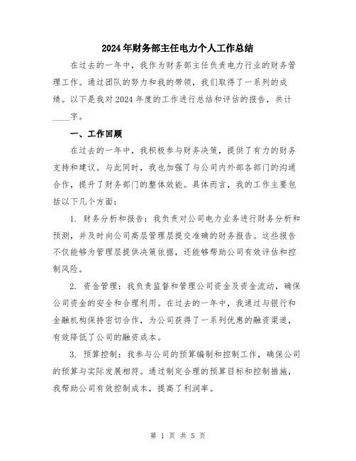 2024年财务部主任电力个人工作总结