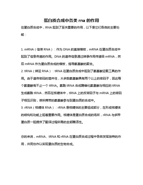 蛋白质合成中各类rna的作用