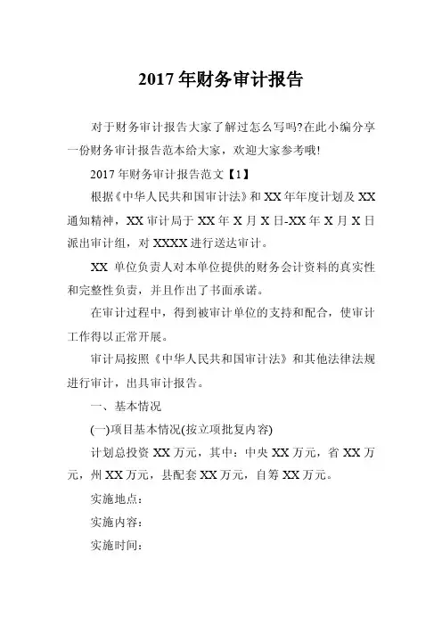 2017年财务审计报告