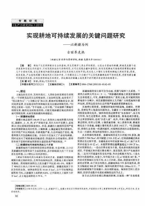 实现耕地可持续发展的关键问题研究——以新疆为例