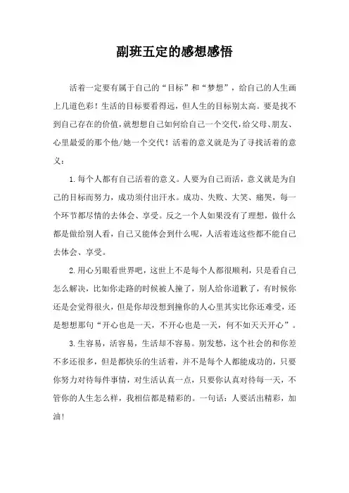 副班五定的感想感悟