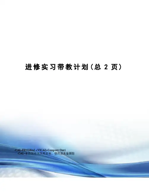 进修实习带教计划