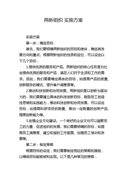 两新组织 实施方案