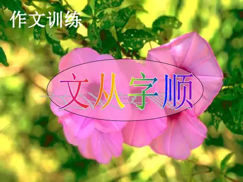 写作_文从字顺