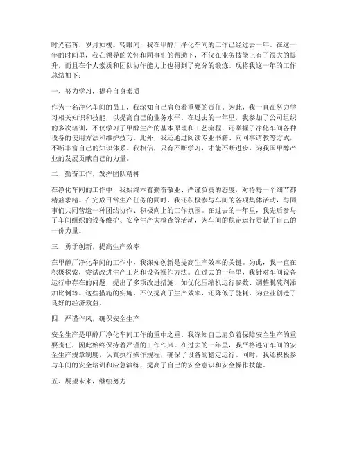 甲醇厂净化车间个人工作总结