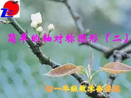 简单的轴对称图形(二)-(2019年9月整理)