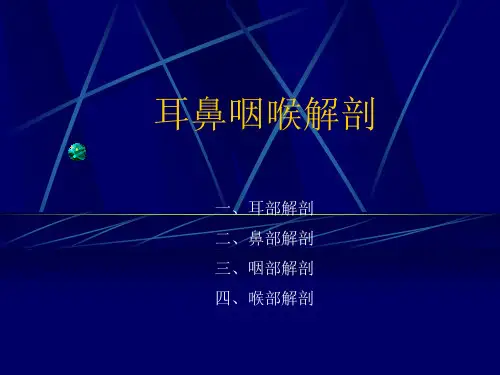 耳鼻咽喉解剖