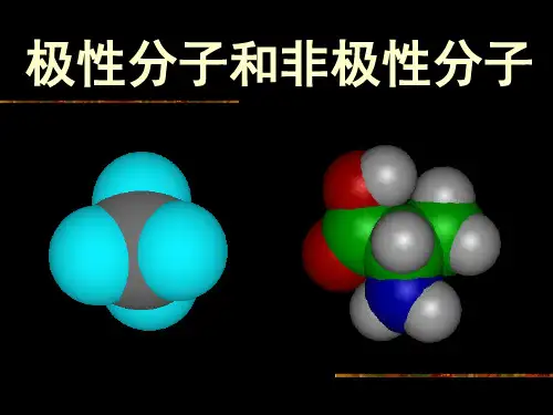 极性分子和非极性分子