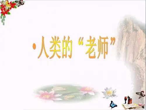 《人类的老师》 精品PPT课件6(共37张)
