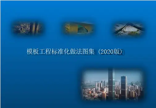 模板工程标准化做法图集(2020版)
