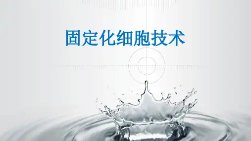 固定化细胞技术ppt课件