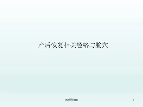 催乳师基础知识产后康复经络 ppt课件