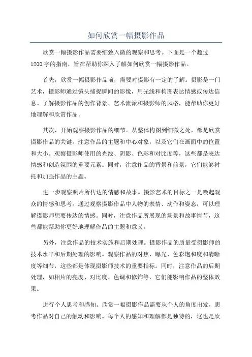 如何欣赏一幅摄影作品