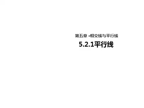 5.2.1 平行线(教案 课件)