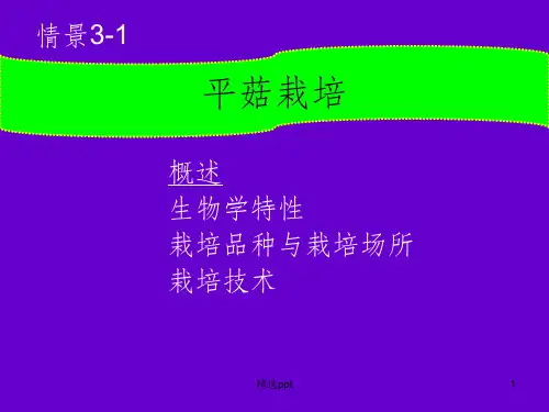 《平菇栽培》PPT课件