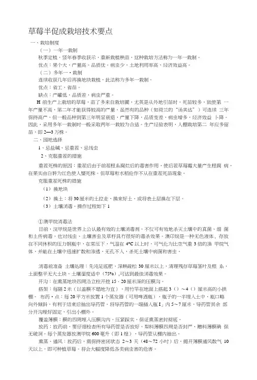 草莓半促成栽培技术要点.doc