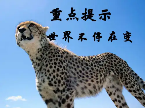 精品保险公司培训销售分红保险精品ppt课件