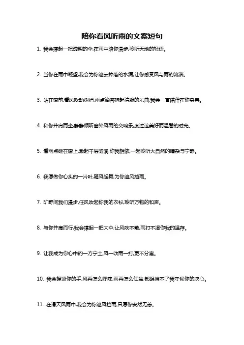 陪你看风听雨的文案短句