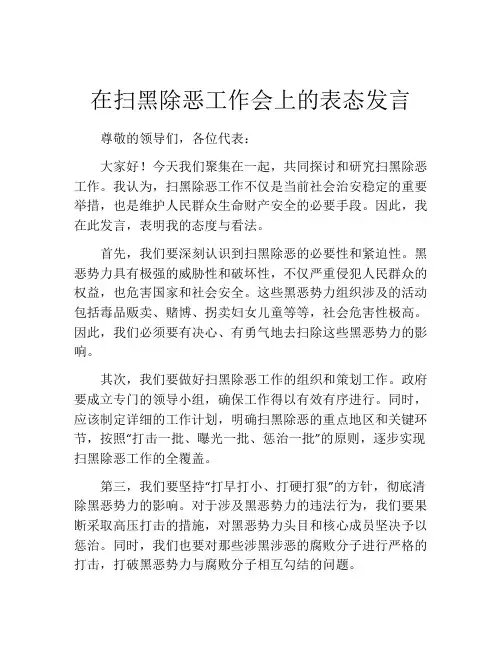 在扫黑除恶工作会上的表态发言