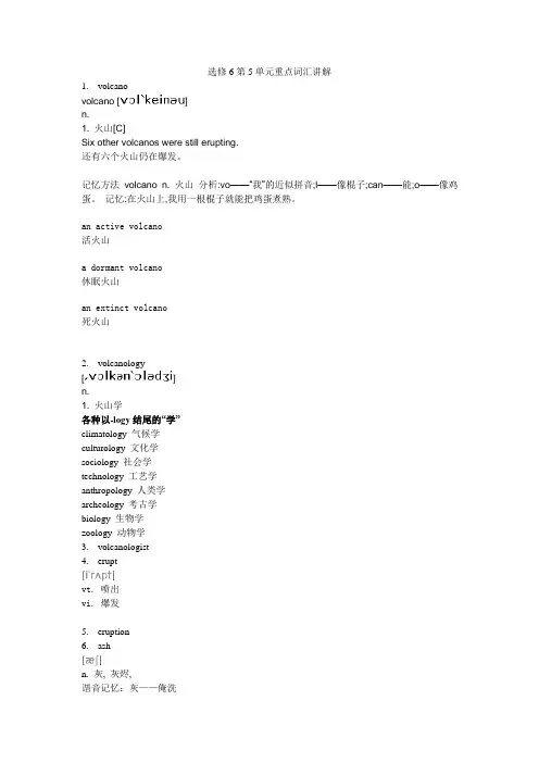选修6第5单元重点词汇讲解