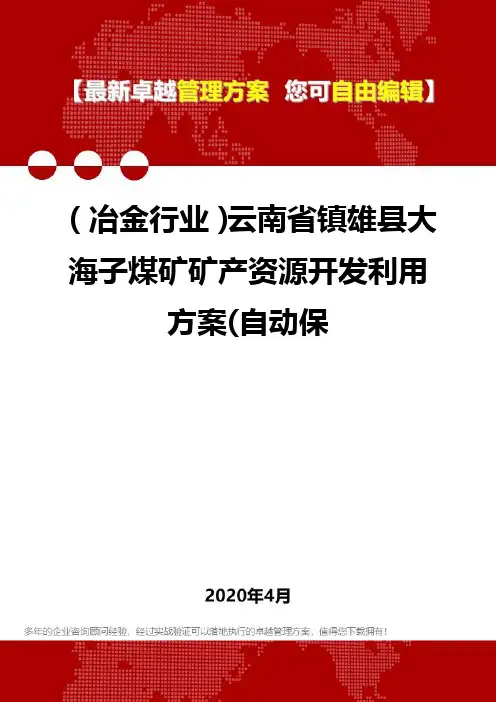 (冶金行业)云南省镇雄县大海子煤矿矿产资源开发利用方案(自动保