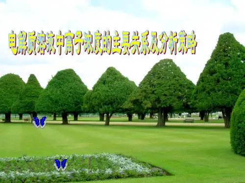溶液中离子浓度的主要关系及分析策略