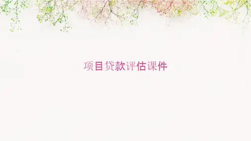 项目贷款评估课件