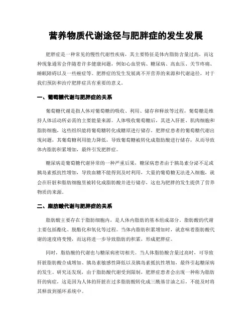 营养物质代谢途径与肥胖症的发生发展