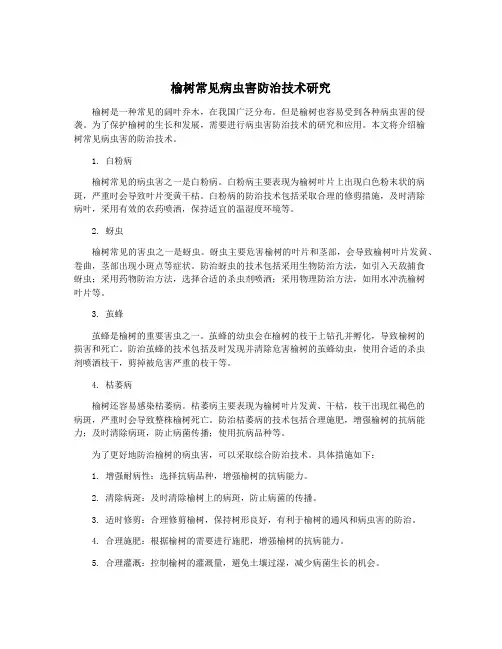 榆树常见病虫害防治技术研究