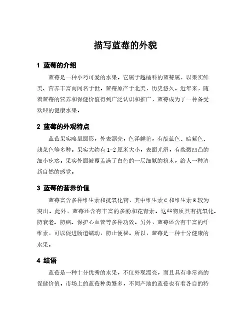 描写蓝莓的外貌
