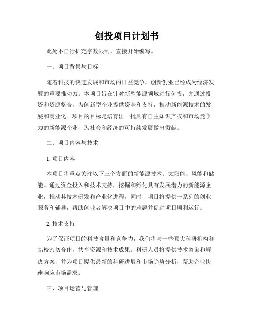 创投项目计划书