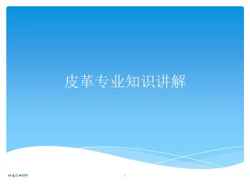 皮革 专业知识 讲解PPT课件