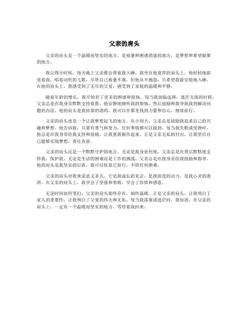 父亲的肩头
