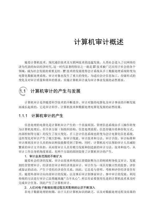计算机审计概述