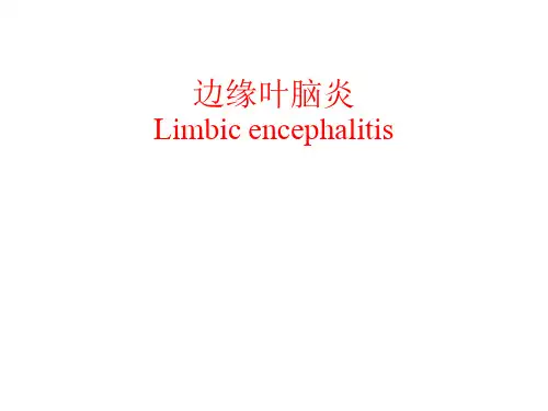 边缘叶脑炎与副肿瘤综合征【94页】