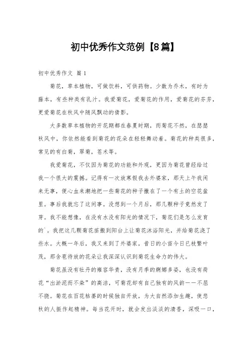 初中优秀作文范例【8篇】