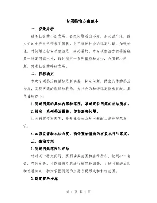 专项整治方案范本