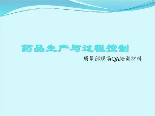药品生产与过程控制(PPT30页)