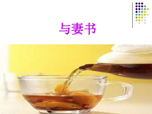 《与妻书》文言文知识点全版.ppt