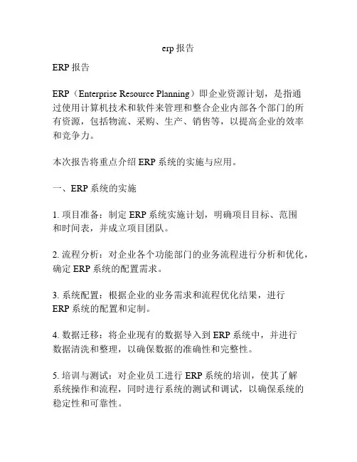 erp报告