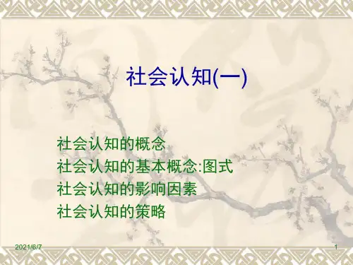 社会心理学第二章社会认知(一)图式