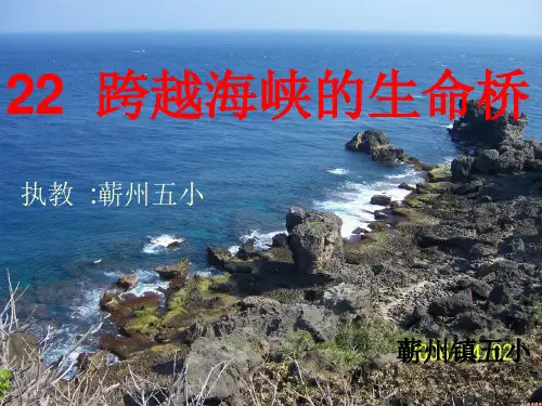 跨越海峡的生命桥PPT课件